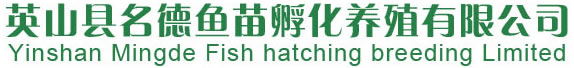 罗非鱼鱼苗-罗非鱼成鱼-鱼苗