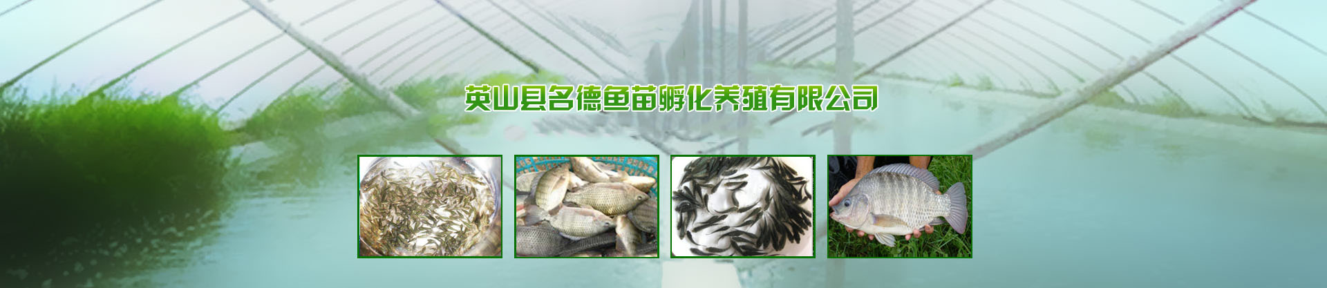 英山县名德鱼苗孵化养殖有限公司​
